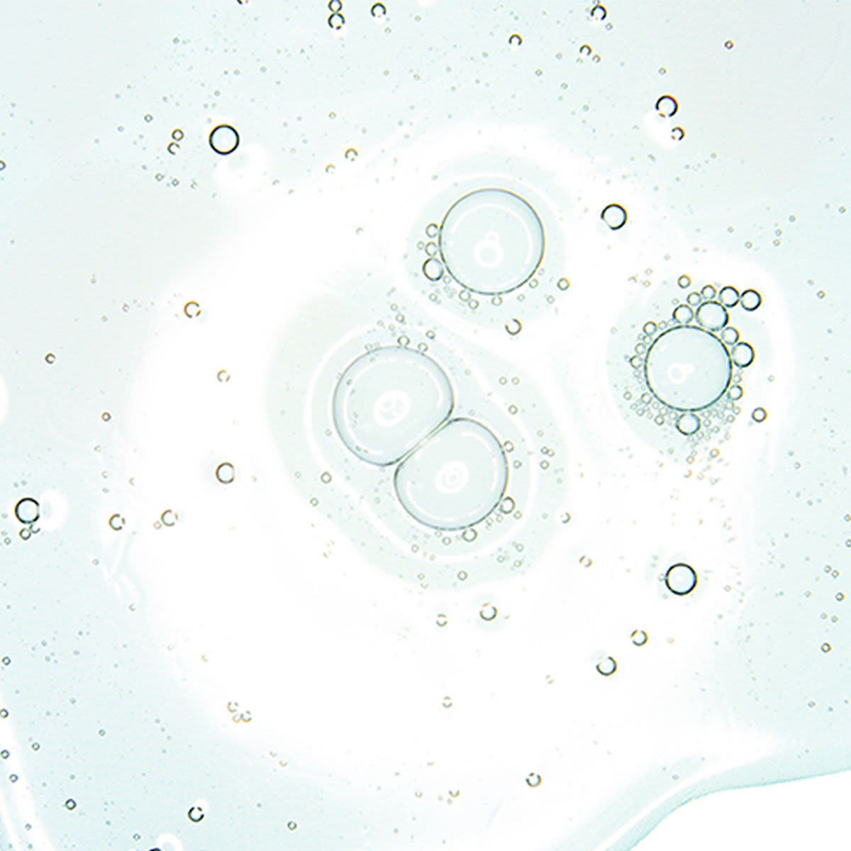 Cleansing Lipids