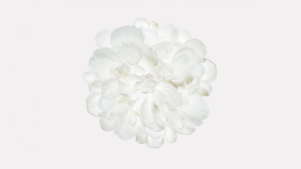 Peony