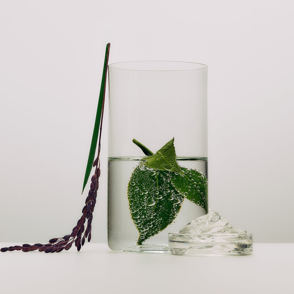 Dewy Milk Moisturizer ingredients: zinc hyaluronate, prebiotic green tea extract, Japanese purple rice