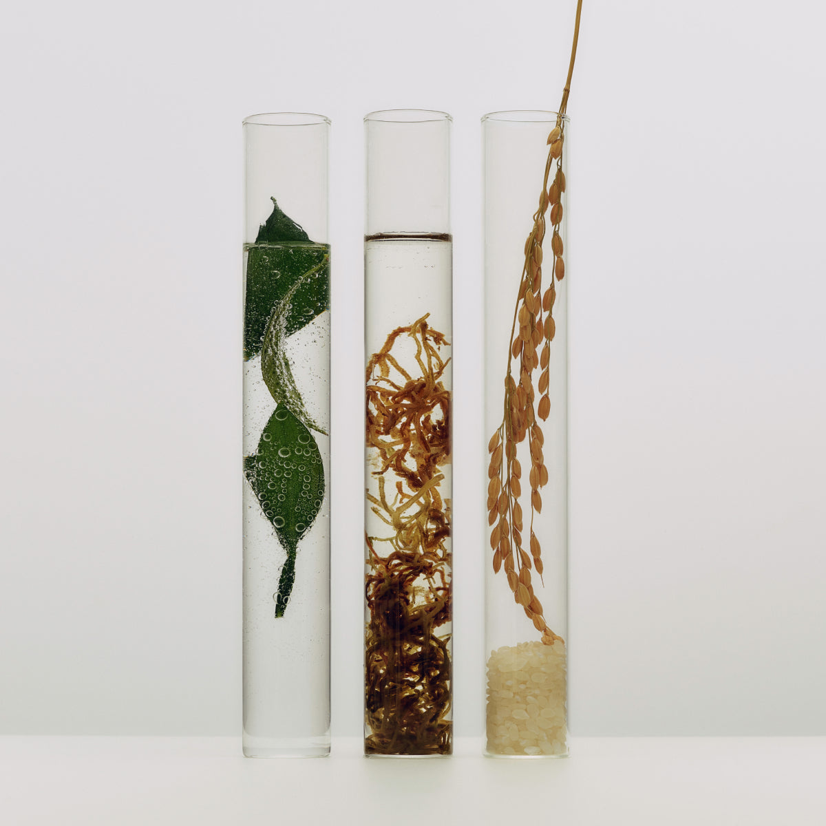 Tatcha Essence ingredients: akita rice, uji green tea, okinawa algae